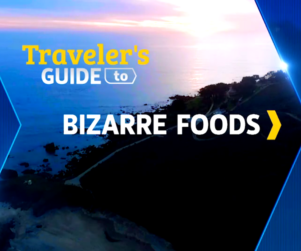 Coastal Sunset with text that reads Traveler's Guide to Bizarre Foods
